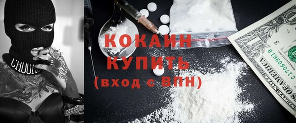 тгк Бородино