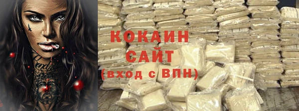 тгк Бородино