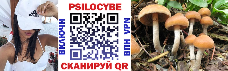 Галлюциногенные грибы Psilocybine cubensis  blacksprut сайт  Моздок 